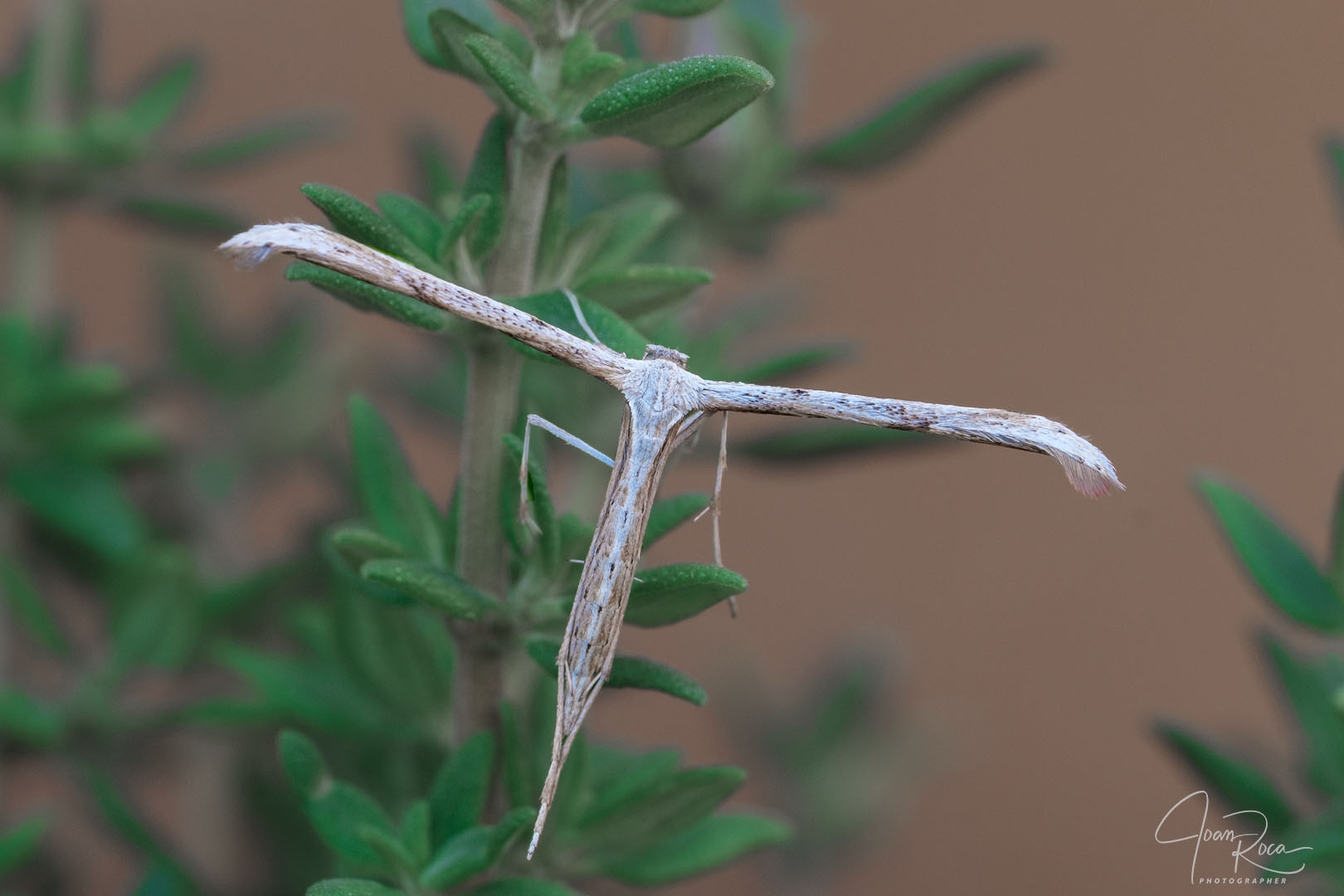 GUÍA PARA FOTÓGRAFOS DE NATURALEZA – 1